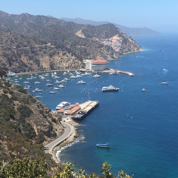 Meet your Posher, Kim - Picture 3 of 3